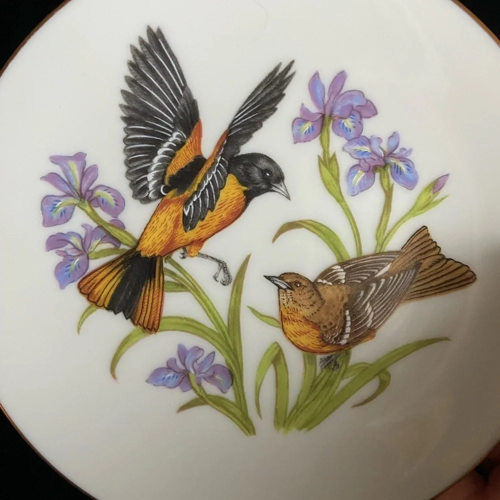 🩵 Song of the Orioles Birds Lenox Collectors Society Member Gift Plate 1993 5